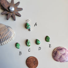 Load image into Gallery viewer, The Sage Charm • Sonoran • PRE-ORDER