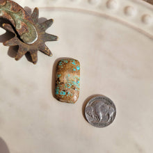 Load image into Gallery viewer, The Aspen Cabochon - #8 Mine