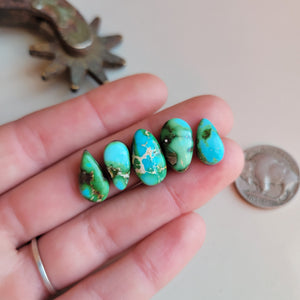 The Blue Bonnet Set - Sonoran