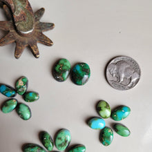 Load image into Gallery viewer, The Audrey Cluster Cab Set - Sonoran