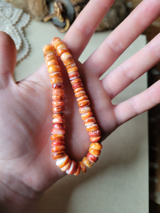 The Cutter Necklace - Spiny Oyster