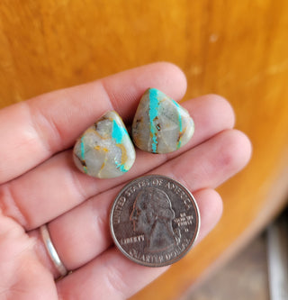 The Anna Studs