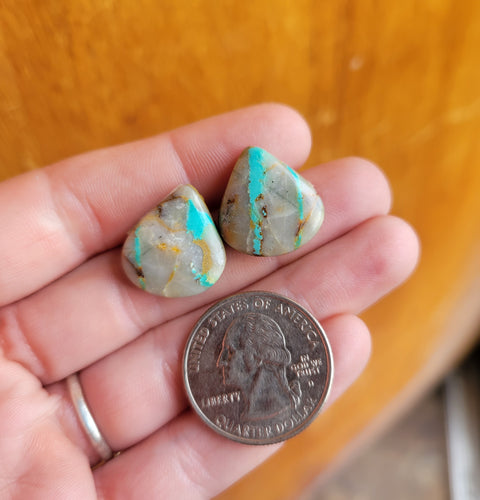 The Anna Studs