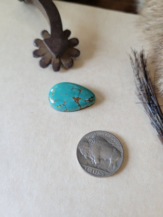 Sonoran Turquoise Teardrop Cab