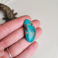 Load image into Gallery viewer, The Seminole Cabochon