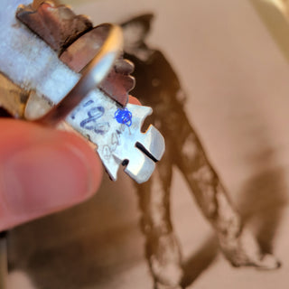 Morning Singer Ring - sz 8.75