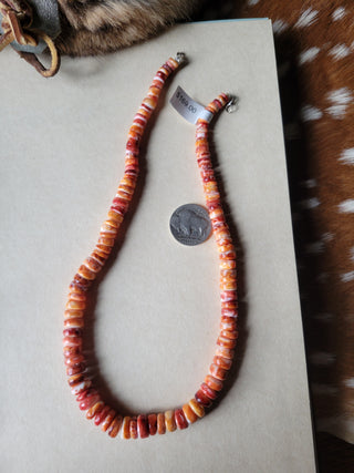The Cutter Necklace - Spiny Oyster