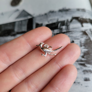 The Roadrunner Charm