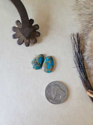 Kingman Turquoise Cab Pair