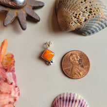 Load image into Gallery viewer, The Stewart Charm •Spiny • PRE-ORDER
