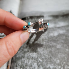 Load image into Gallery viewer, The Texanna Hoops