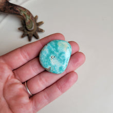 Load image into Gallery viewer, The Anglers Cabochon