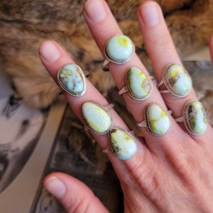 Palomino Rings