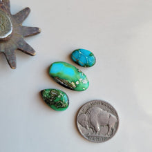 Load image into Gallery viewer, Sonoran Trio - E