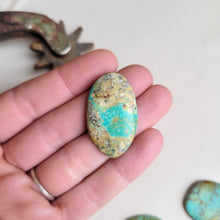 Load image into Gallery viewer, The Caily Cab Set of 5