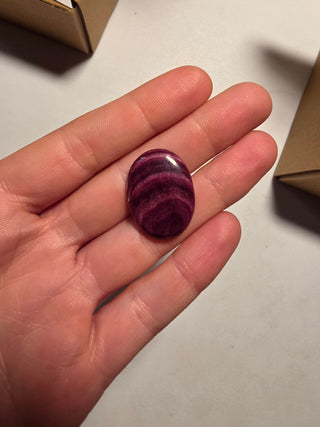 Shelly - Purple Spiny Cab