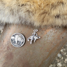 Load image into Gallery viewer, Bucking Bronc Charm