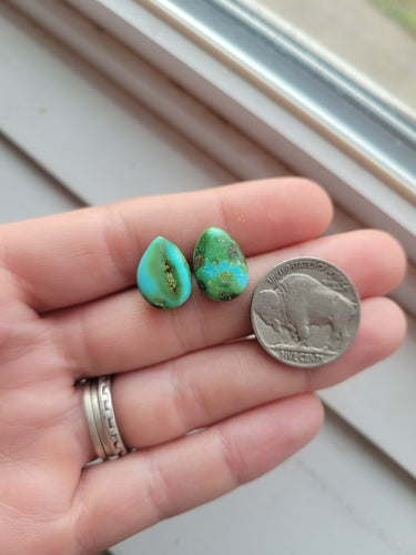 The Vicki Earrings - Sonoran