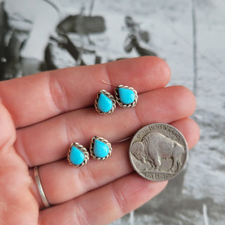 The Kerry Studs