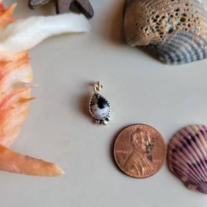 The Gus Charm • White Buffalo • PRE-ORDER