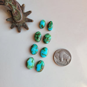 Sonoran Pairs x4