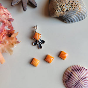 The Jamee Charm • Spiny • PRE-ORDER