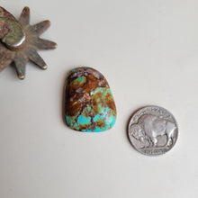 Load image into Gallery viewer, The Lexis Cabochon