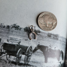 Load image into Gallery viewer, The Horseshoe Charm
