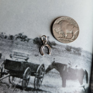 The Horseshoe Charm