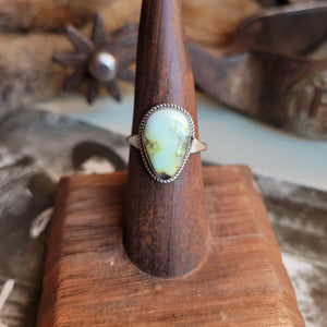 Palomino Rings