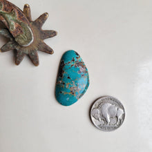 Load image into Gallery viewer, The Seminole Cabochon