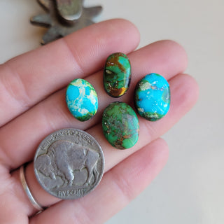 Sonoran Set of 4 - B