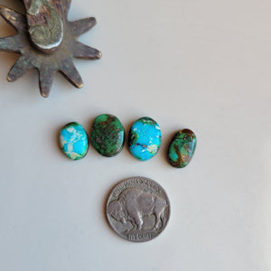 Sonoran Set of 4 - B