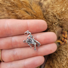 Load image into Gallery viewer, Bucking Bronc Charm