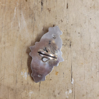 The Apache Ring