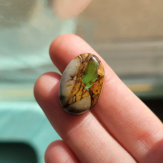 Custom Royston Turtle Pendant