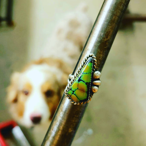 Custom Shield Ring